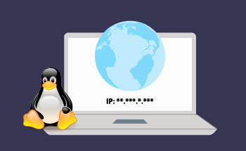 Краткое руководство по установке временного статического IP-адреса в Linux