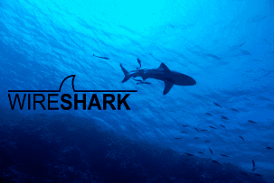 Вышла версия Wireshark 4.4.6