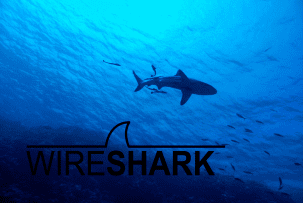 Релиз Wireshark 4.4.7