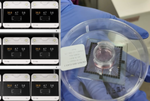 Строительство дата-центров из человеческих клеток мозга